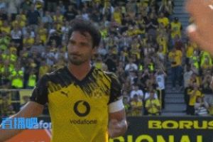 传奇落幕！胡梅尔斯第20分钟被换下，多特尤文双方球员列队告别